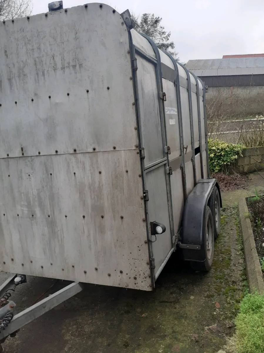Ifor Williams cattle trailer - Image 3