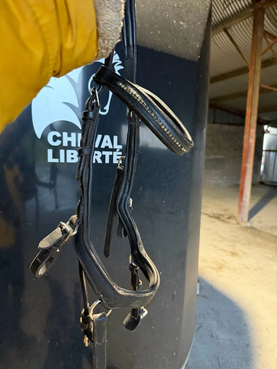 Micklem bridle pony size in black - Image 2