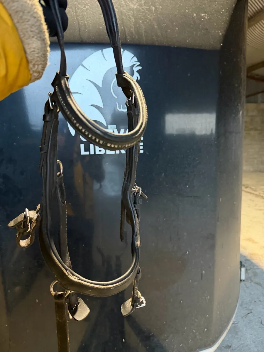 Micklem bridle pony size in black - Image 3