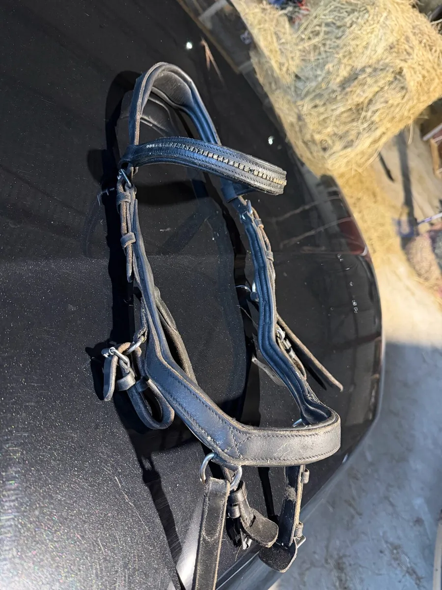 Micklem bridle pony size in black - Image 4