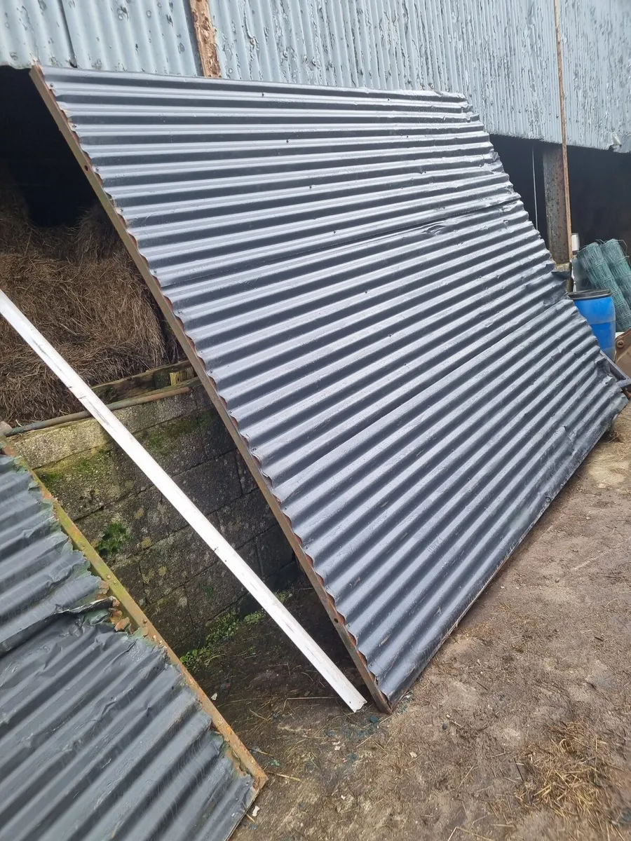 Steel doors - Image 1