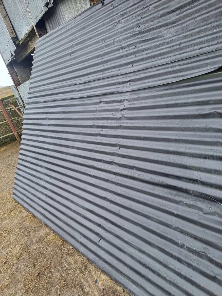 Steel doors - Image 2