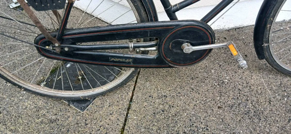 Raleigh bikes - Image 1