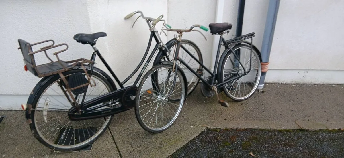 Raleigh bikes - Image 2