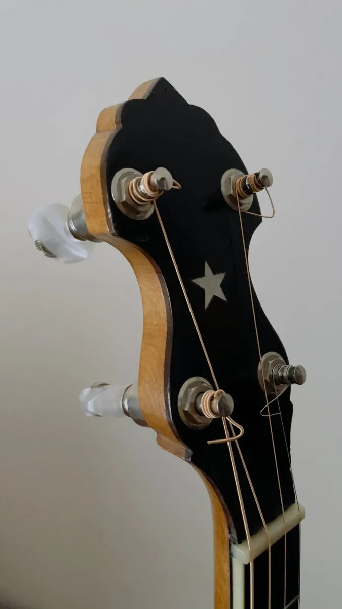 Vintage Style R Whyte Laydie Tenor Banjo - Image 2