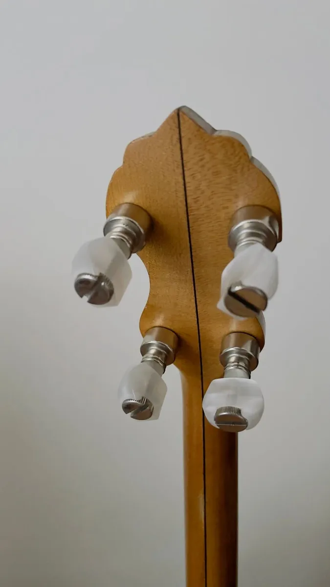 Vintage Style R Whyte Laydie Tenor Banjo - Image 3