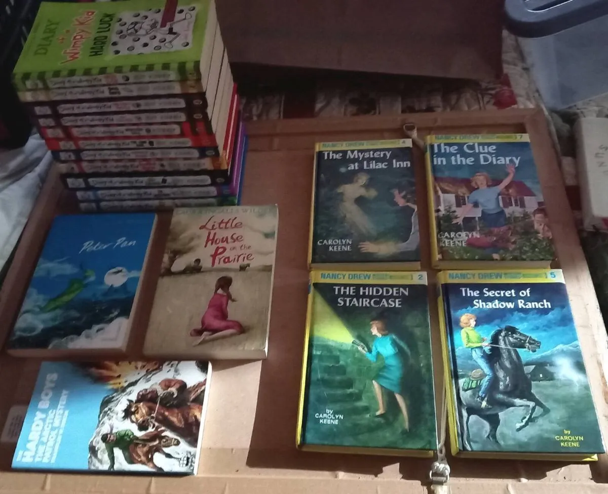 Joblot of Childrens Books (18) - Image 2