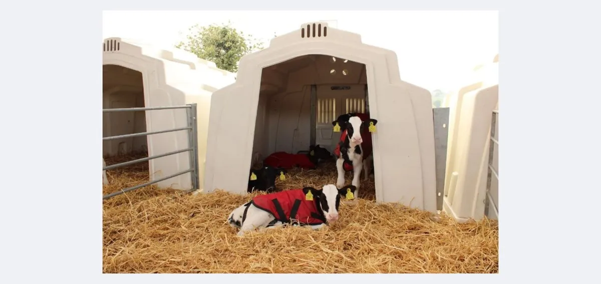 Calf Hutch - Image 1