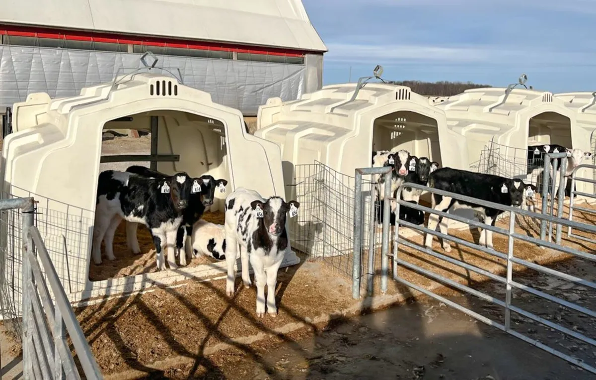 Calf Hutch - Image 3