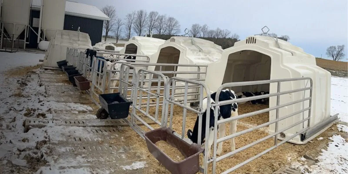 Calf Hutch - Image 4