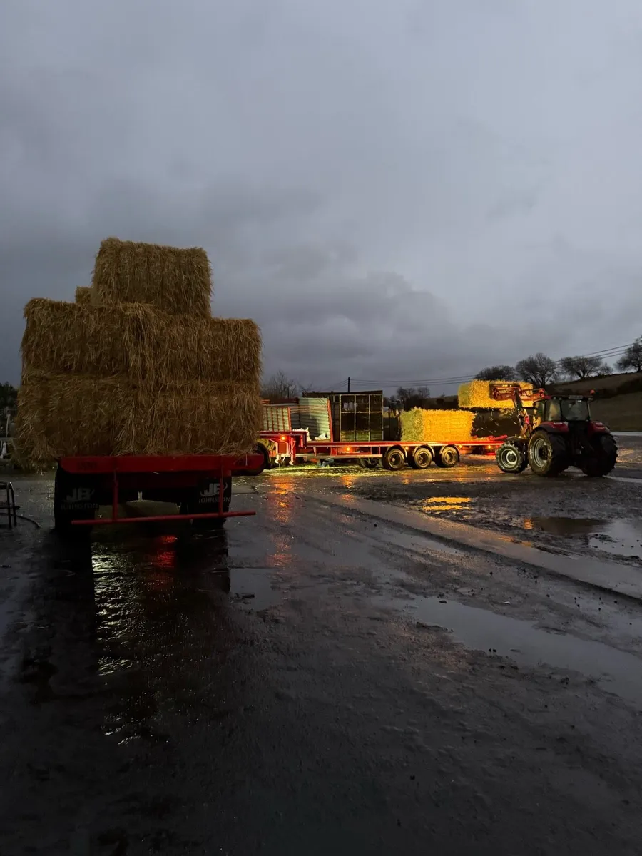 8x4x3 barley moylough co. Galway - Image 2