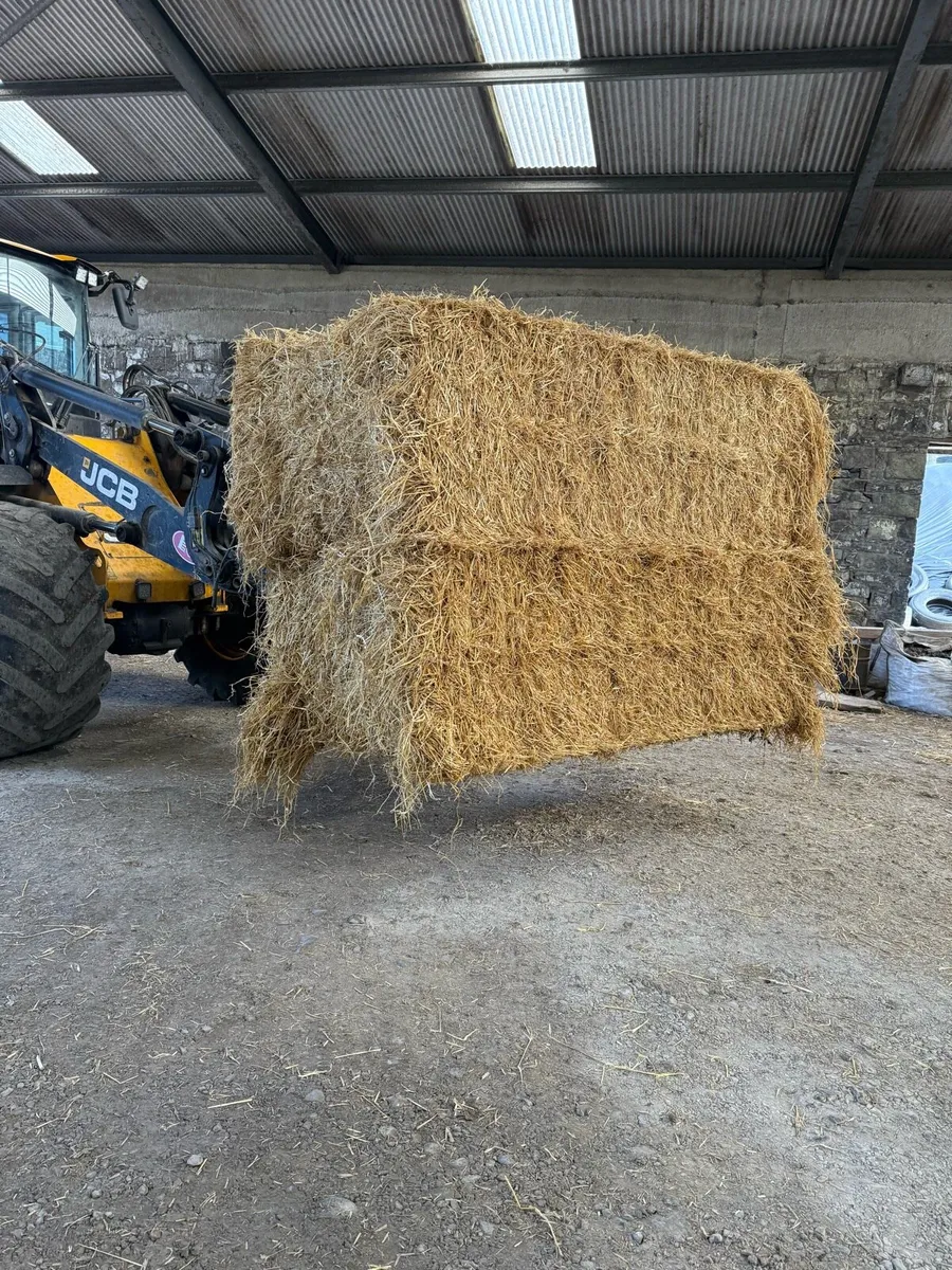 8x4x3 barley moylough co. Galway - Image 3