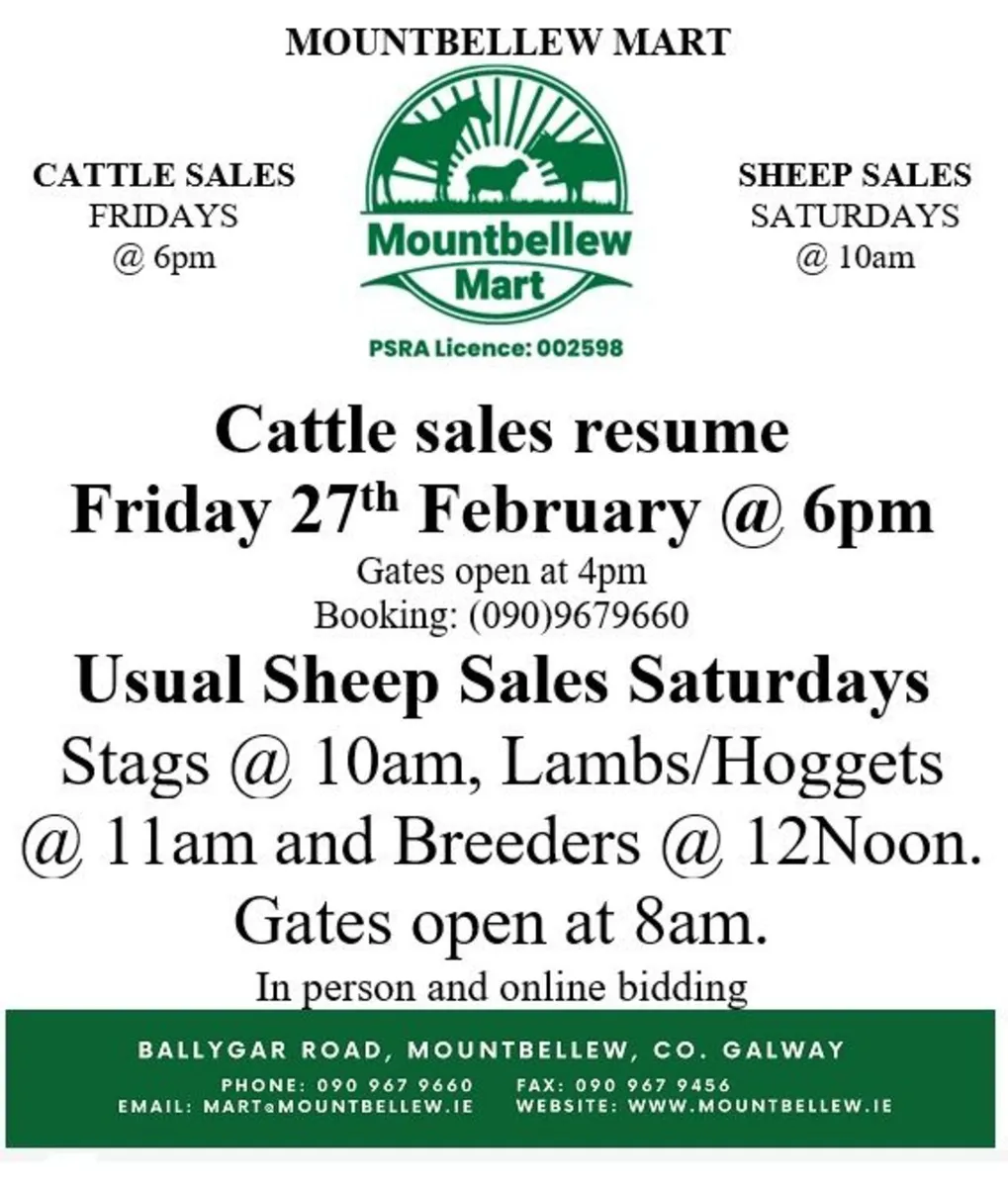 Cattle sales resume
