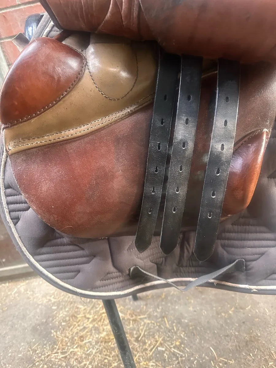 Stubben Edelweiss jump/event saddle - Image 2