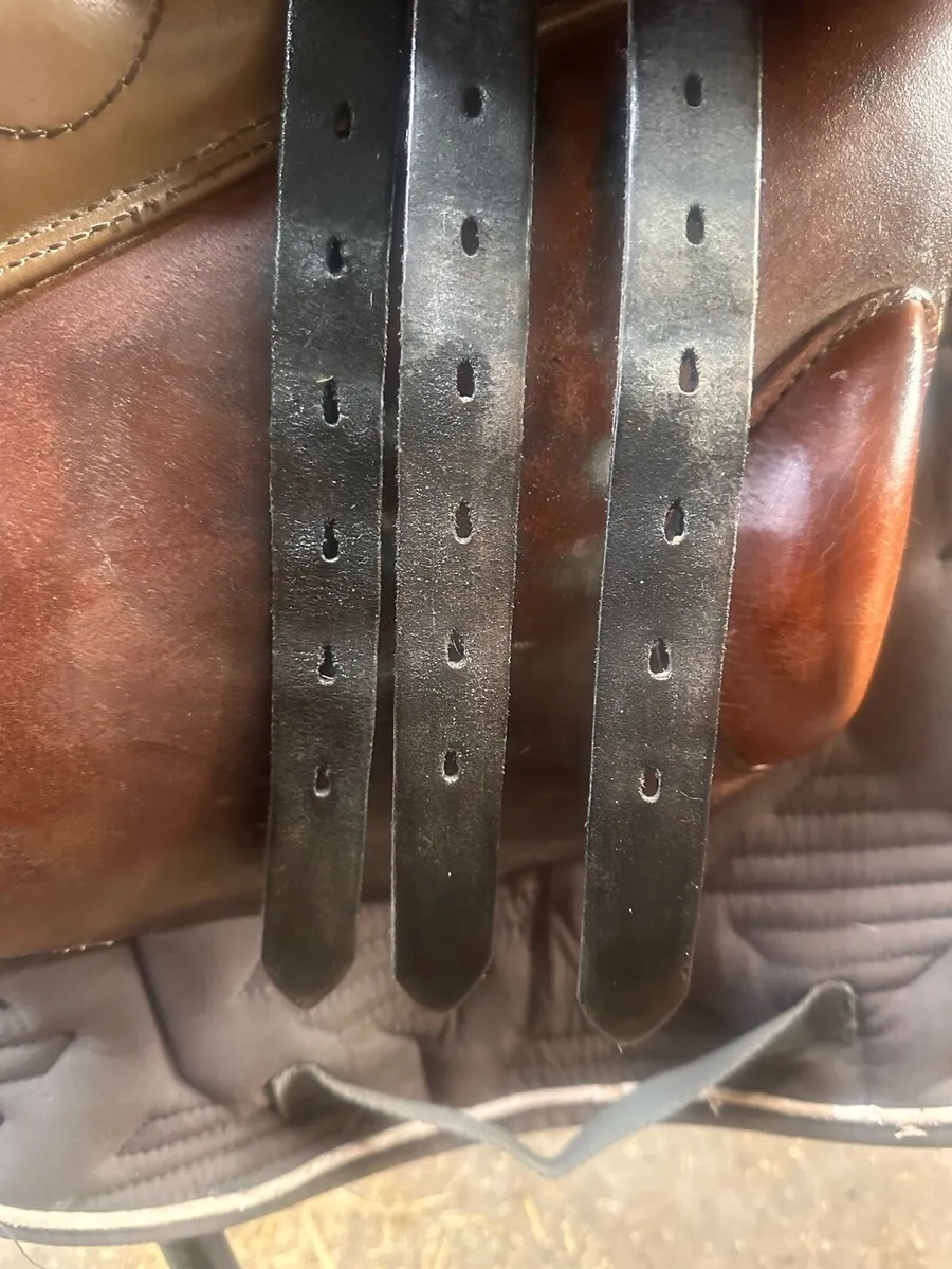 Stubben Edelweiss jump/event saddle - Image 3