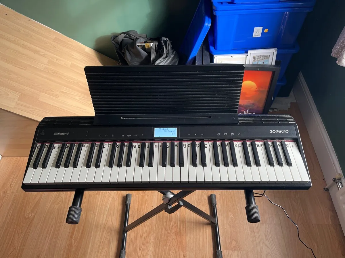 Roland GO:PIANO Digital Piano 61 Keys - Image 1