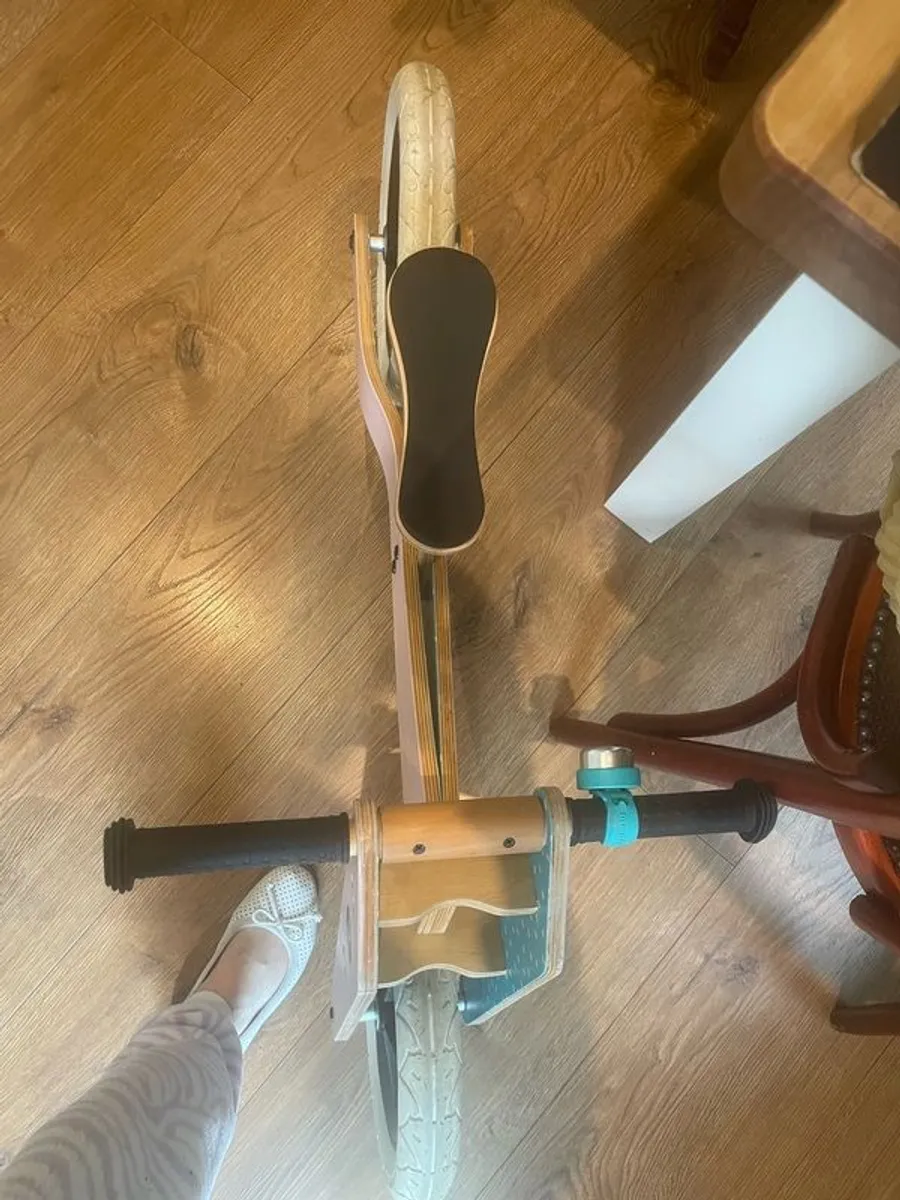 Wishbone 3 in 1 Tricycle - Image 4