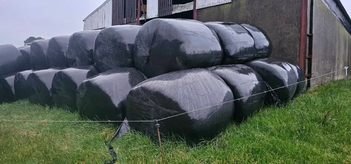 Silage bales - Image 1