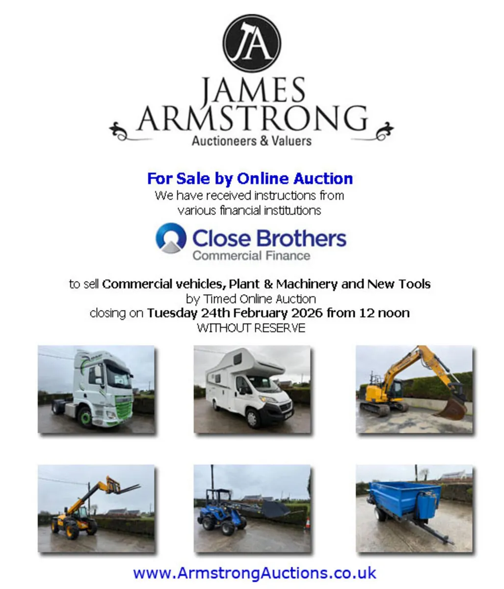 New Electric Tail Lift **Online Auction** - Image 2