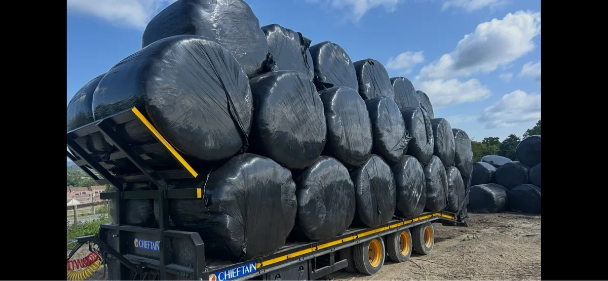 Haylage for sale - Image 1