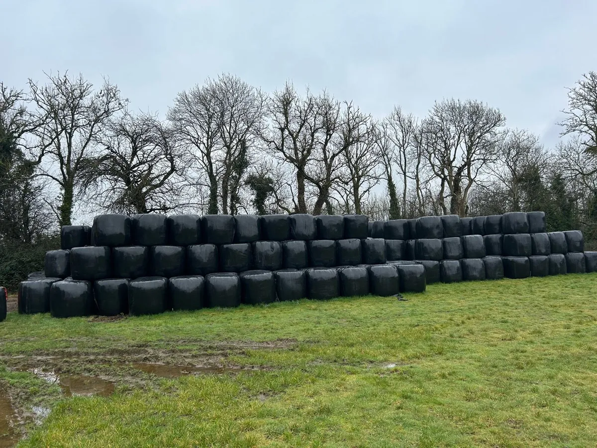 Haylage for sale - Image 4