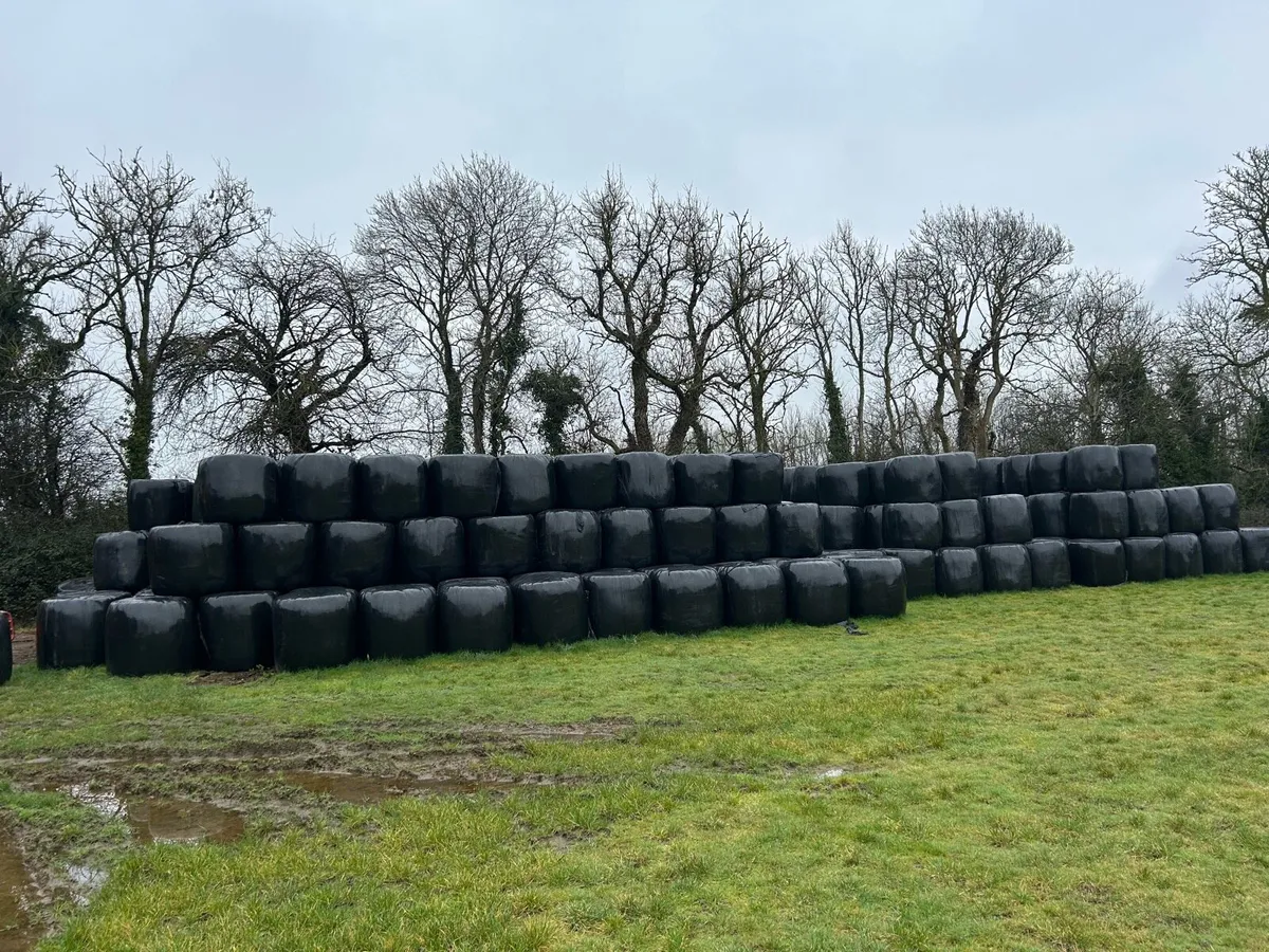 Haylage for sale - Image 3