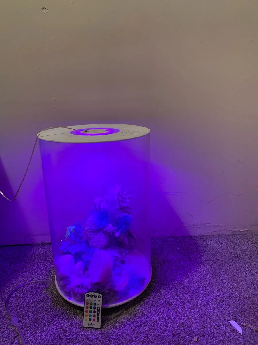 Free stuff - Image 3