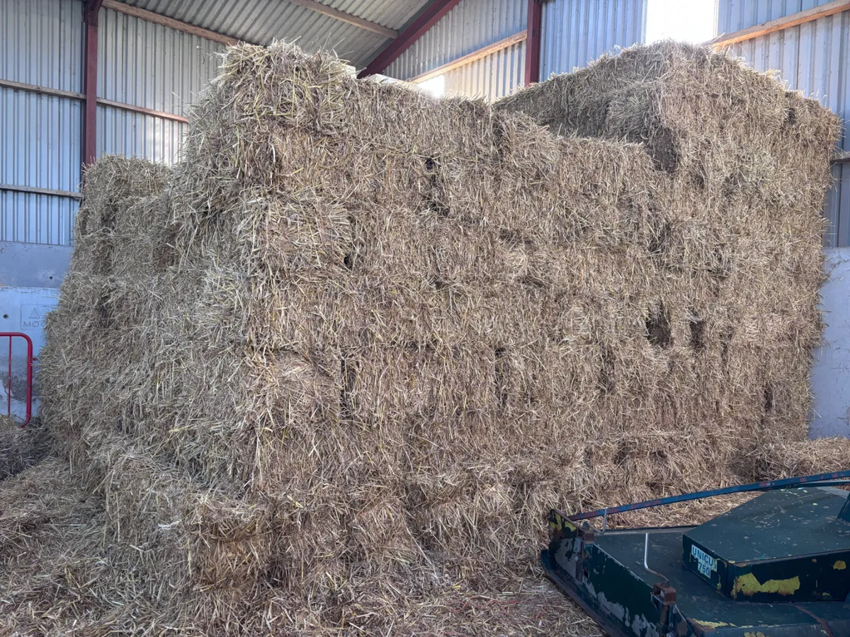 Small Square Straw Bales - Image 1