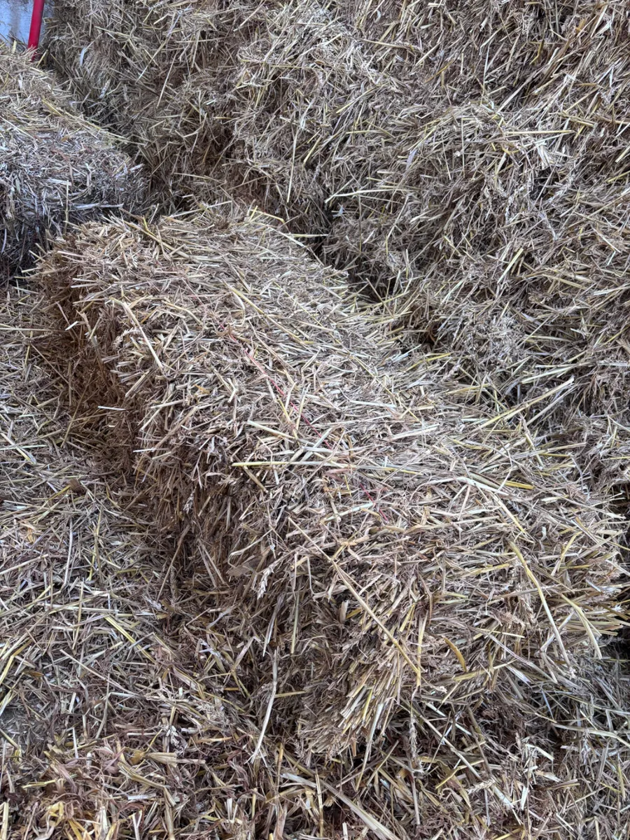 Small Square Straw Bales - Image 3