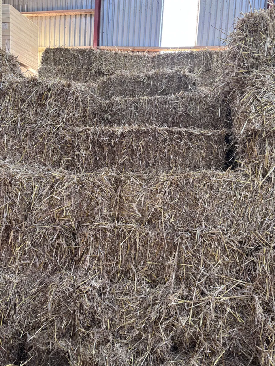 Small Square Straw Bales - Image 4
