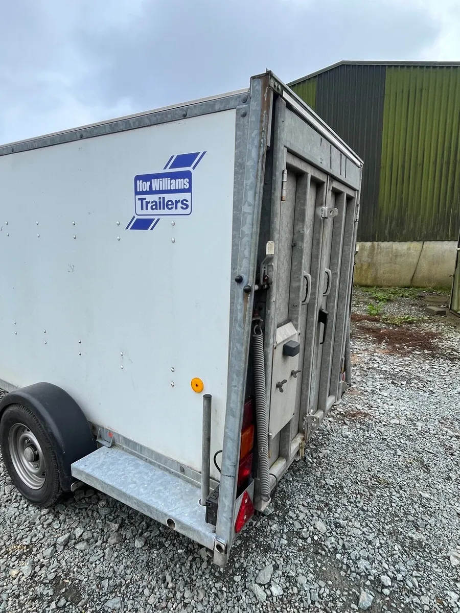 8x4 iforwilliams trailer box van - Image 3