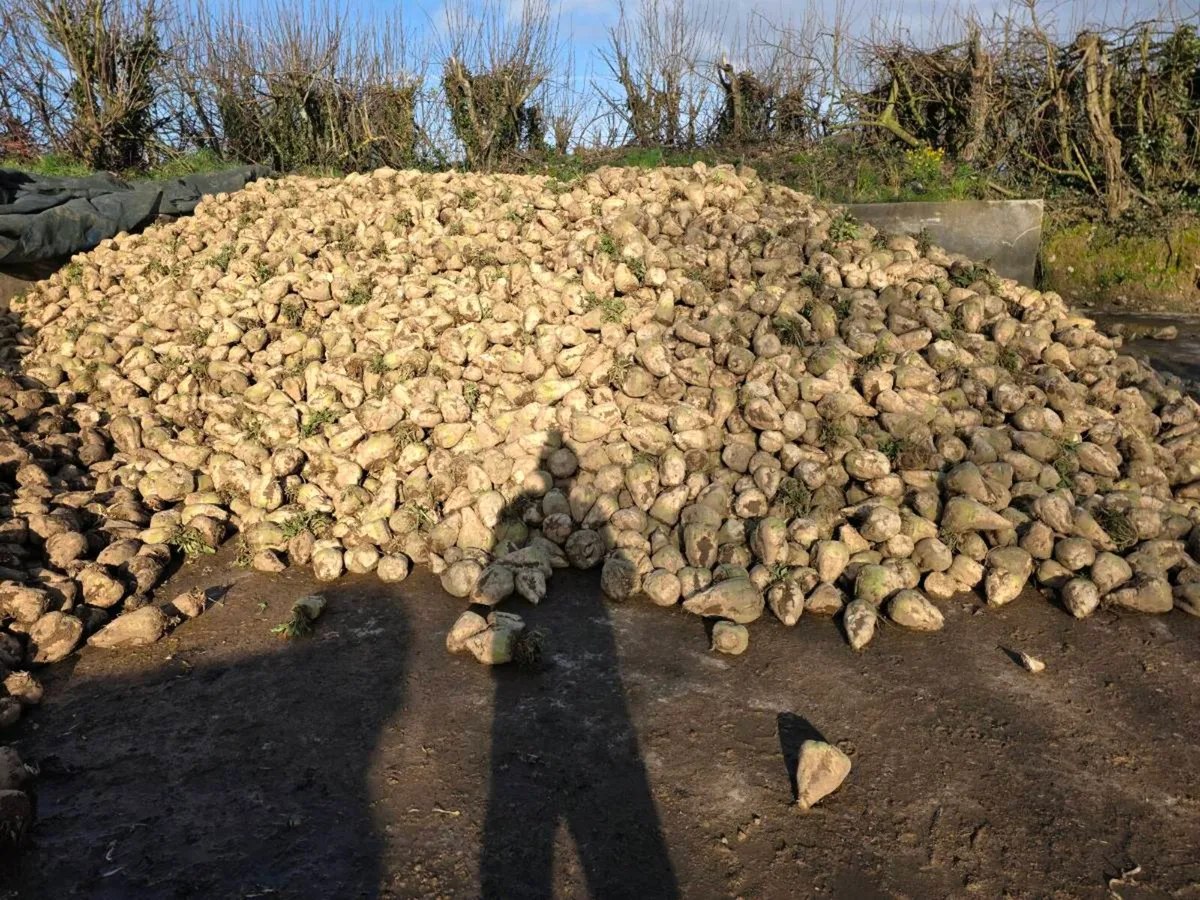 Enermax beet - Image 2