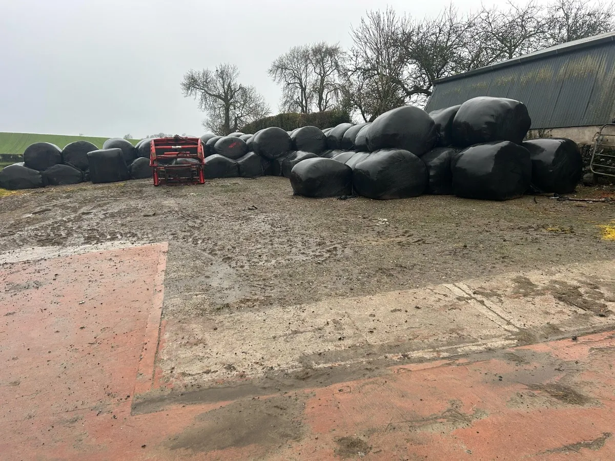 4 x 4  bales of silage