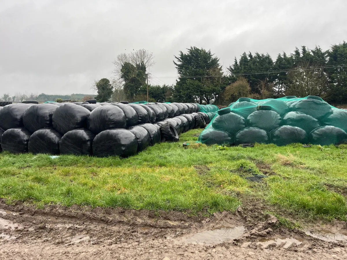 Silage bales