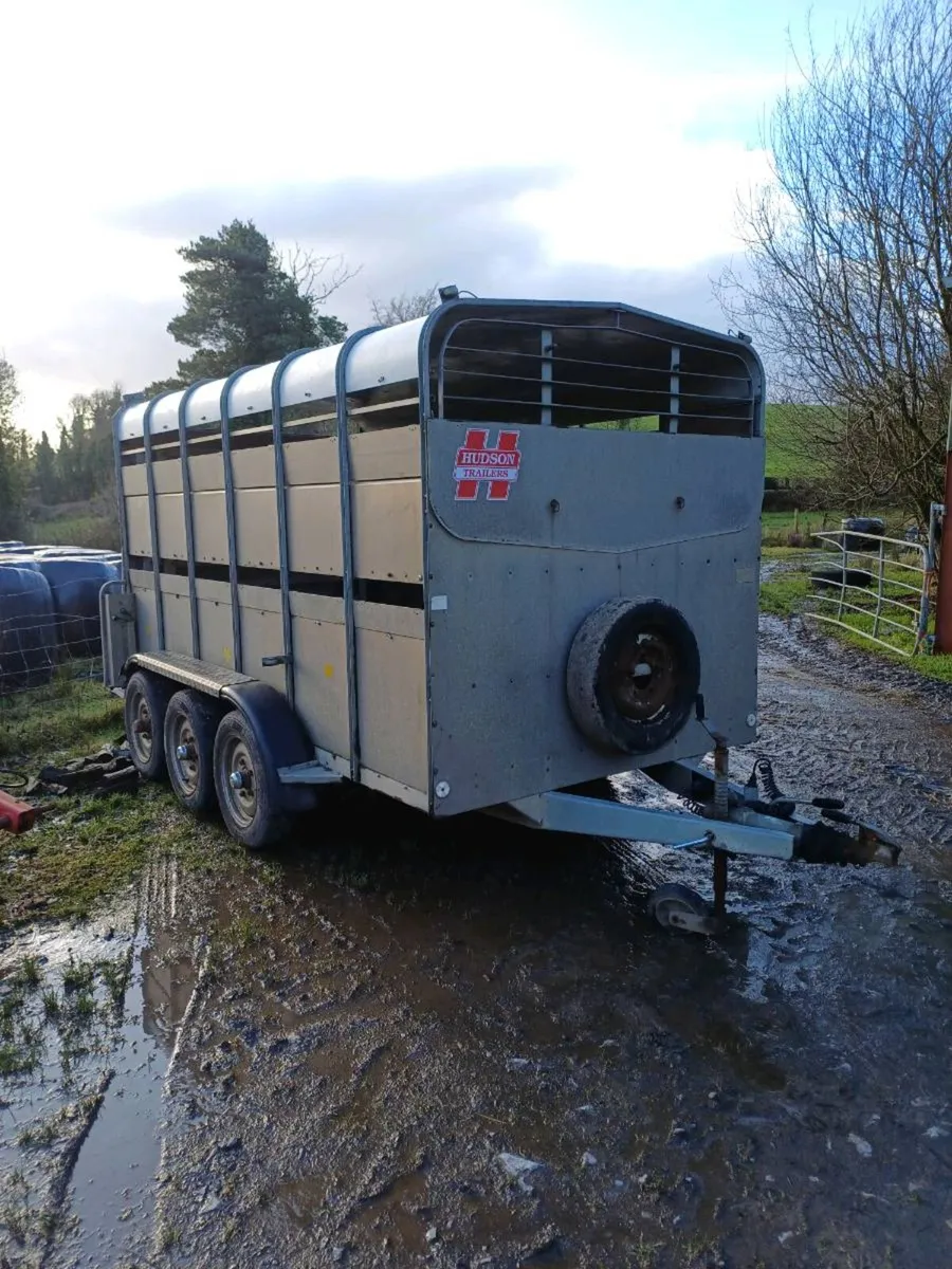 Hudson  livestock trailer - Image 1