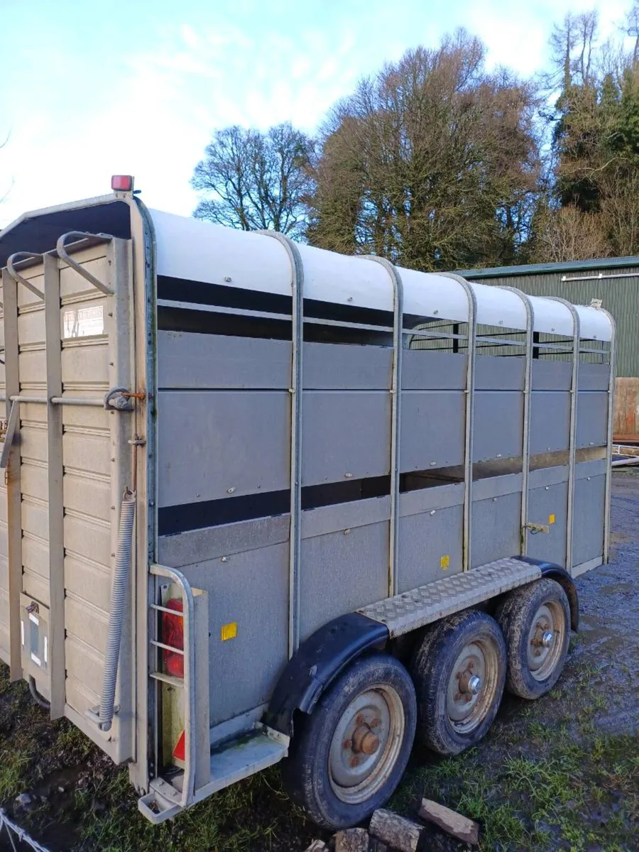 Hudson  livestock trailer - Image 4