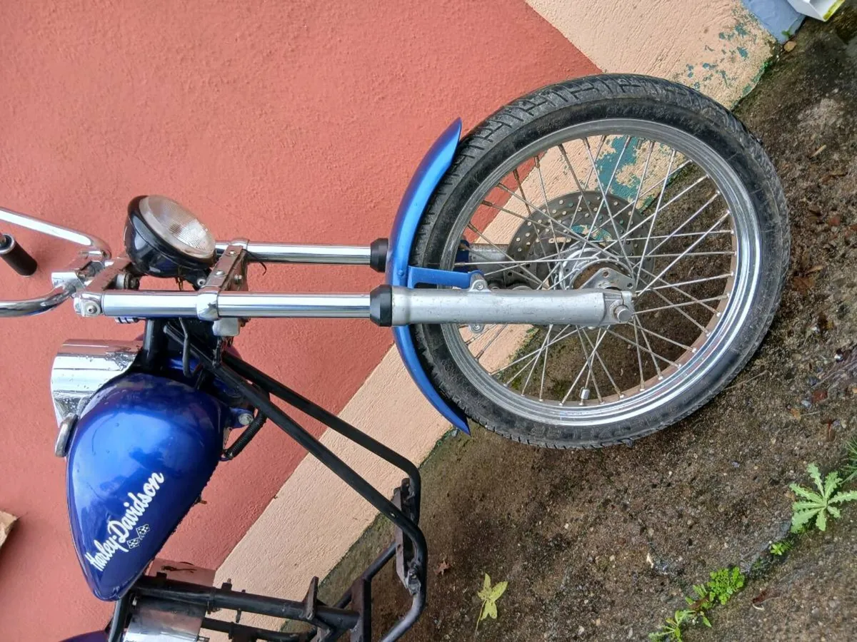 Harley Davidson - Image 3