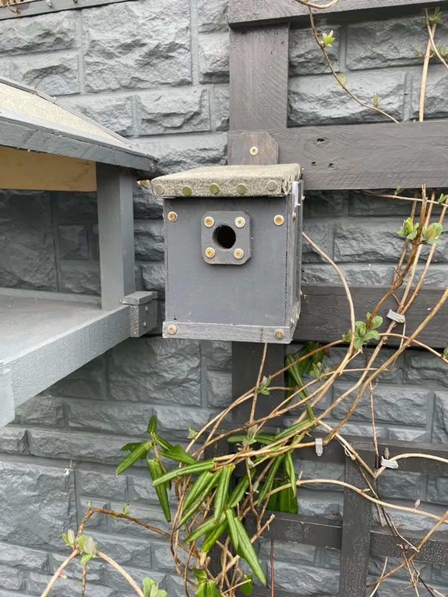 Bird table and bird box - Image 2