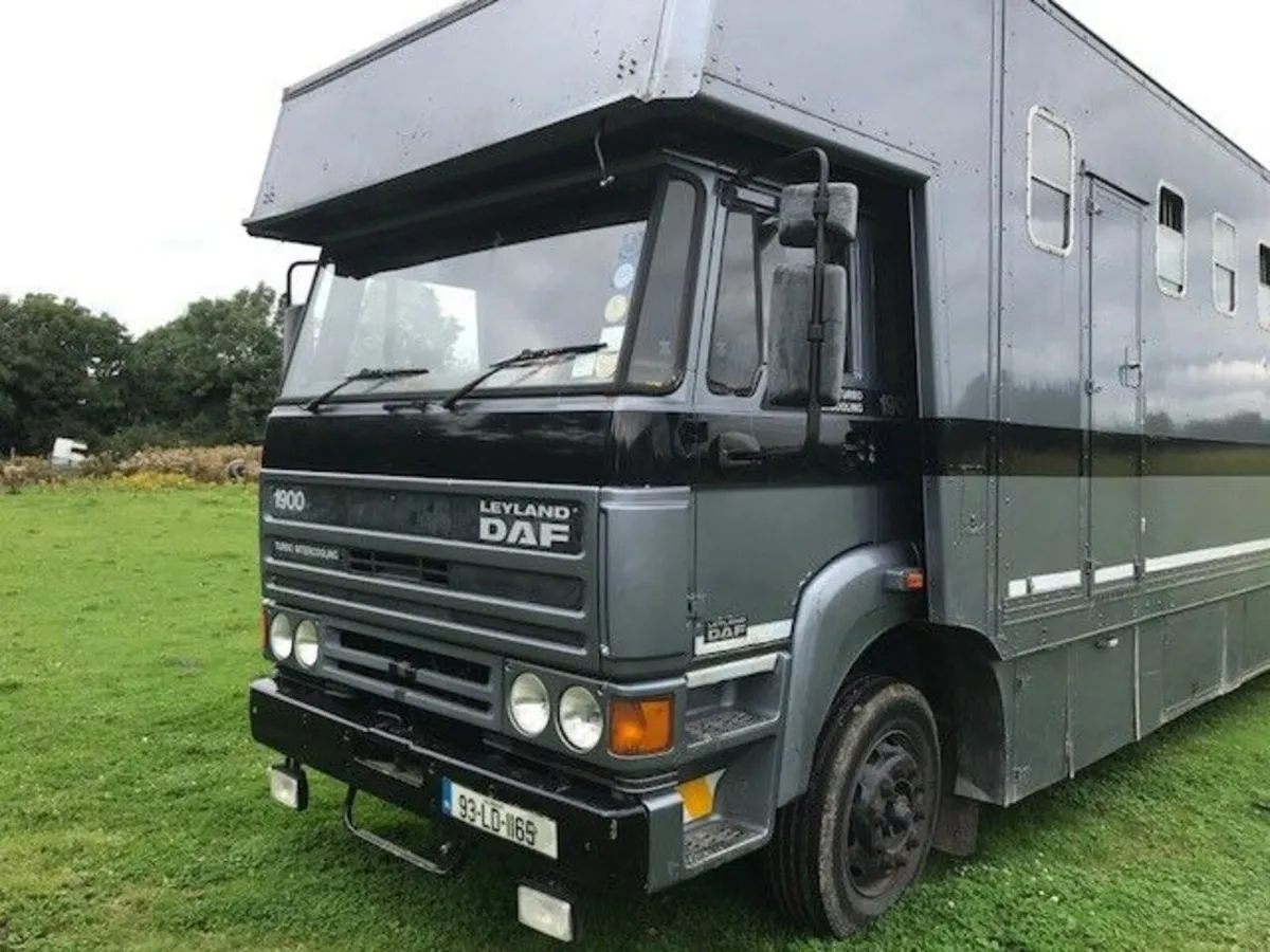 DAF Horsebox - Image 1