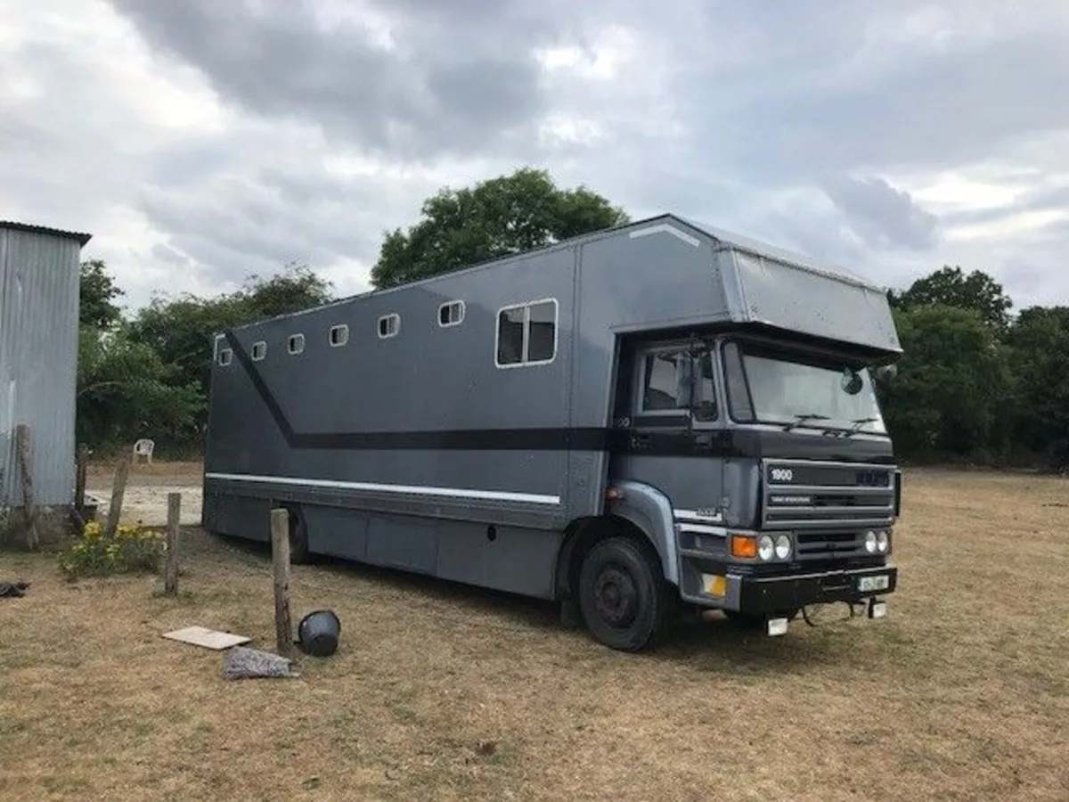 DAF Horsebox - Image 3