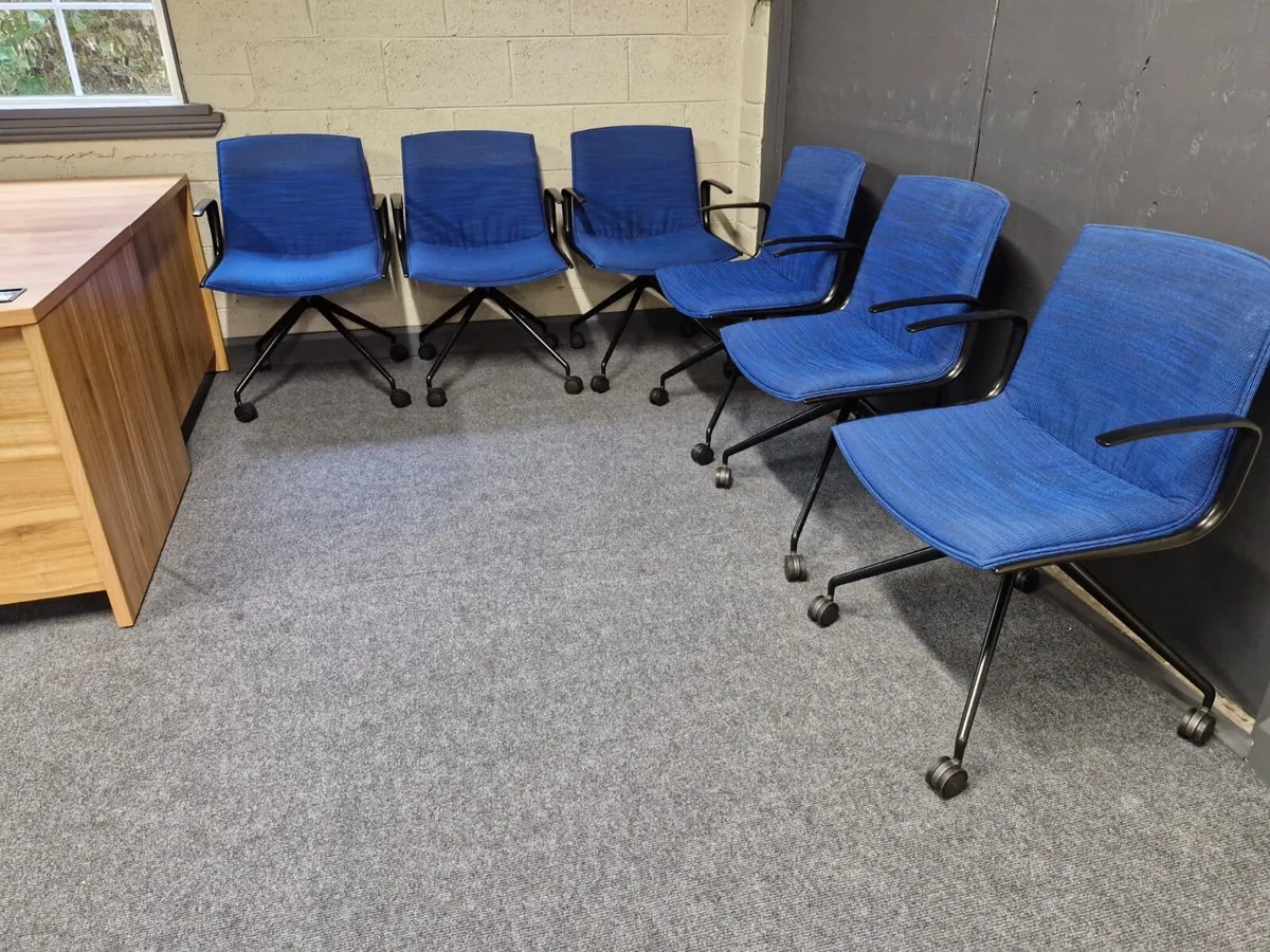 Arper cafita up chairs x 30 - Image 2