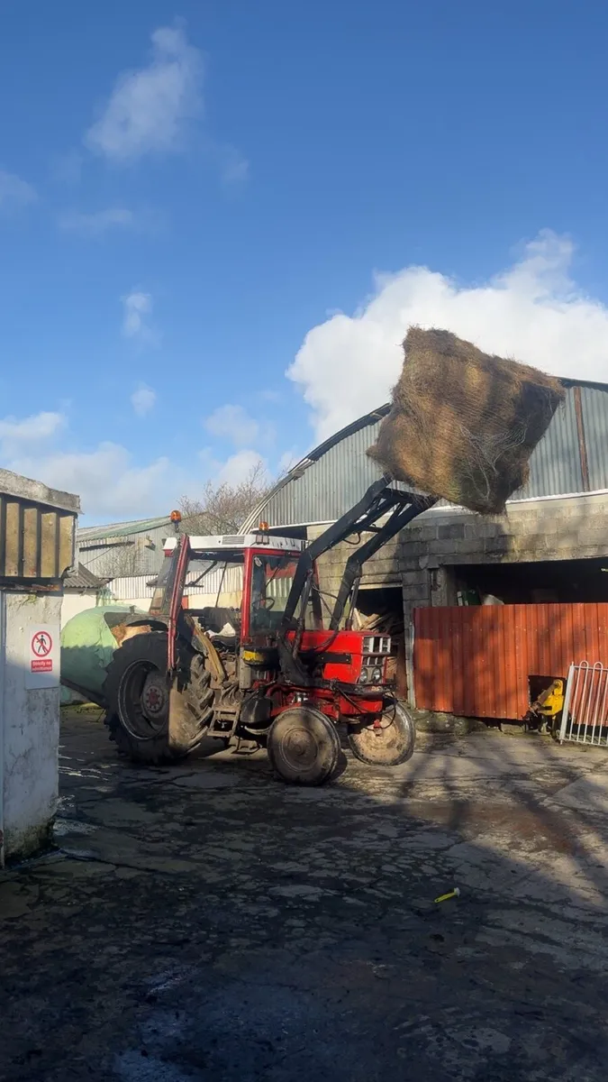 International 585xl tractor - Image 3