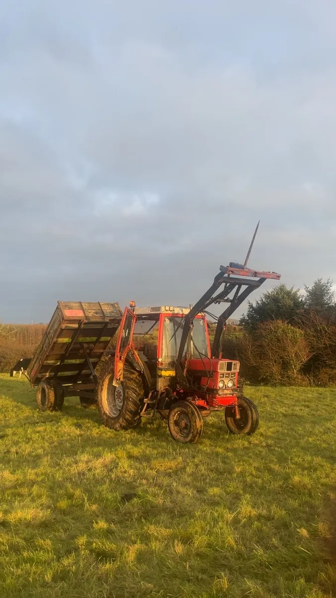 International 585xl tractor - Image 2