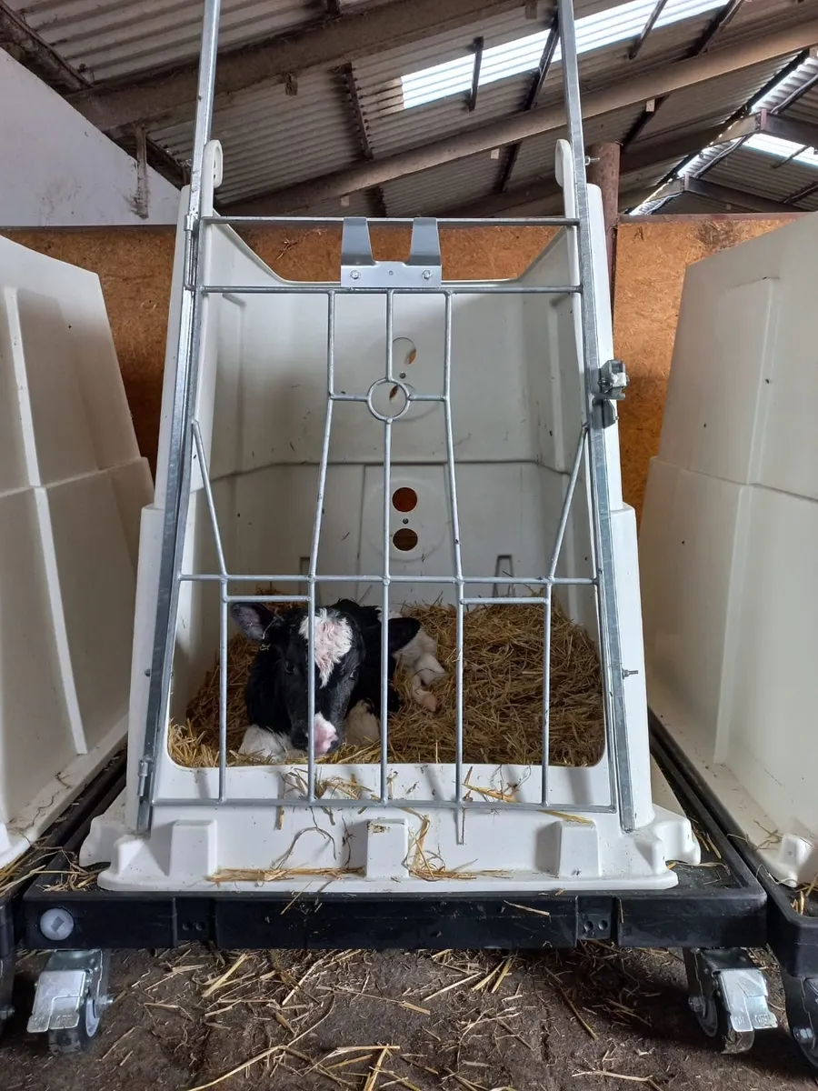 Mobile Calf Pen - Image 3