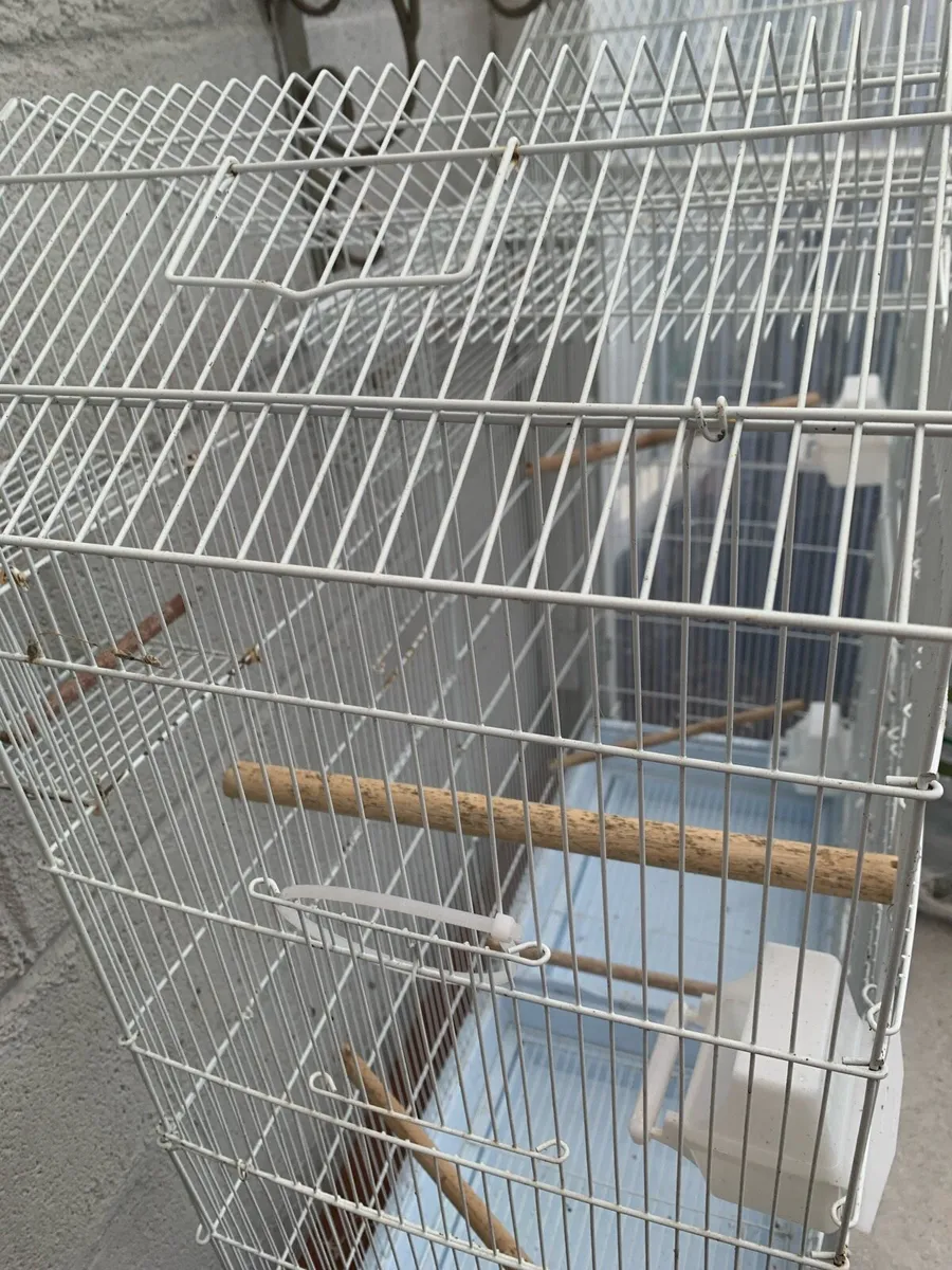 Bird Cage - Image 3