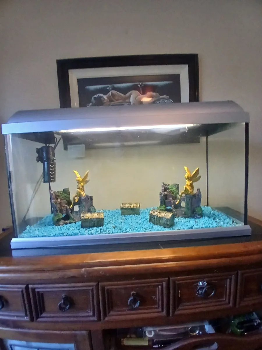 Fish tank - Image 3