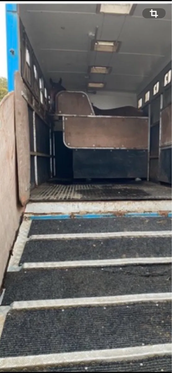 Horse lorry - Image 2