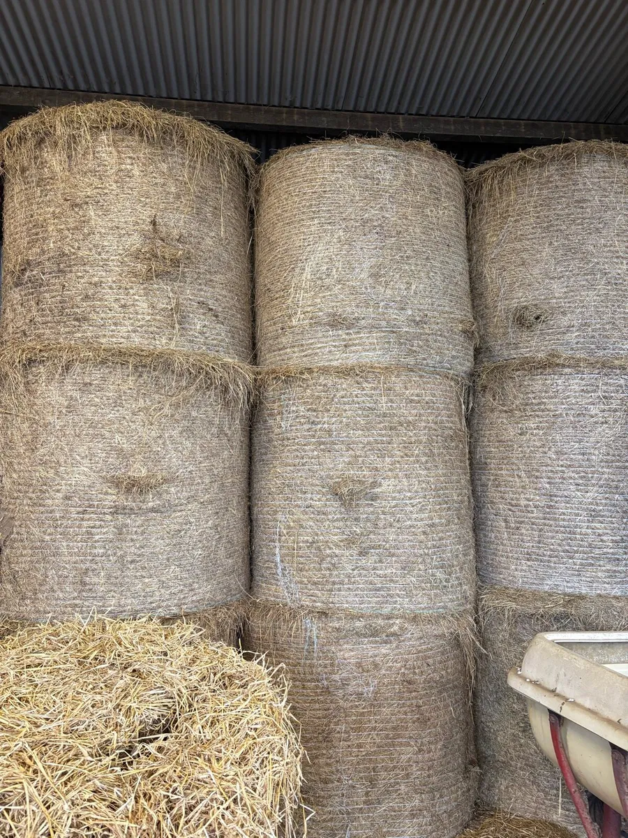 Bales of hay - Image 1