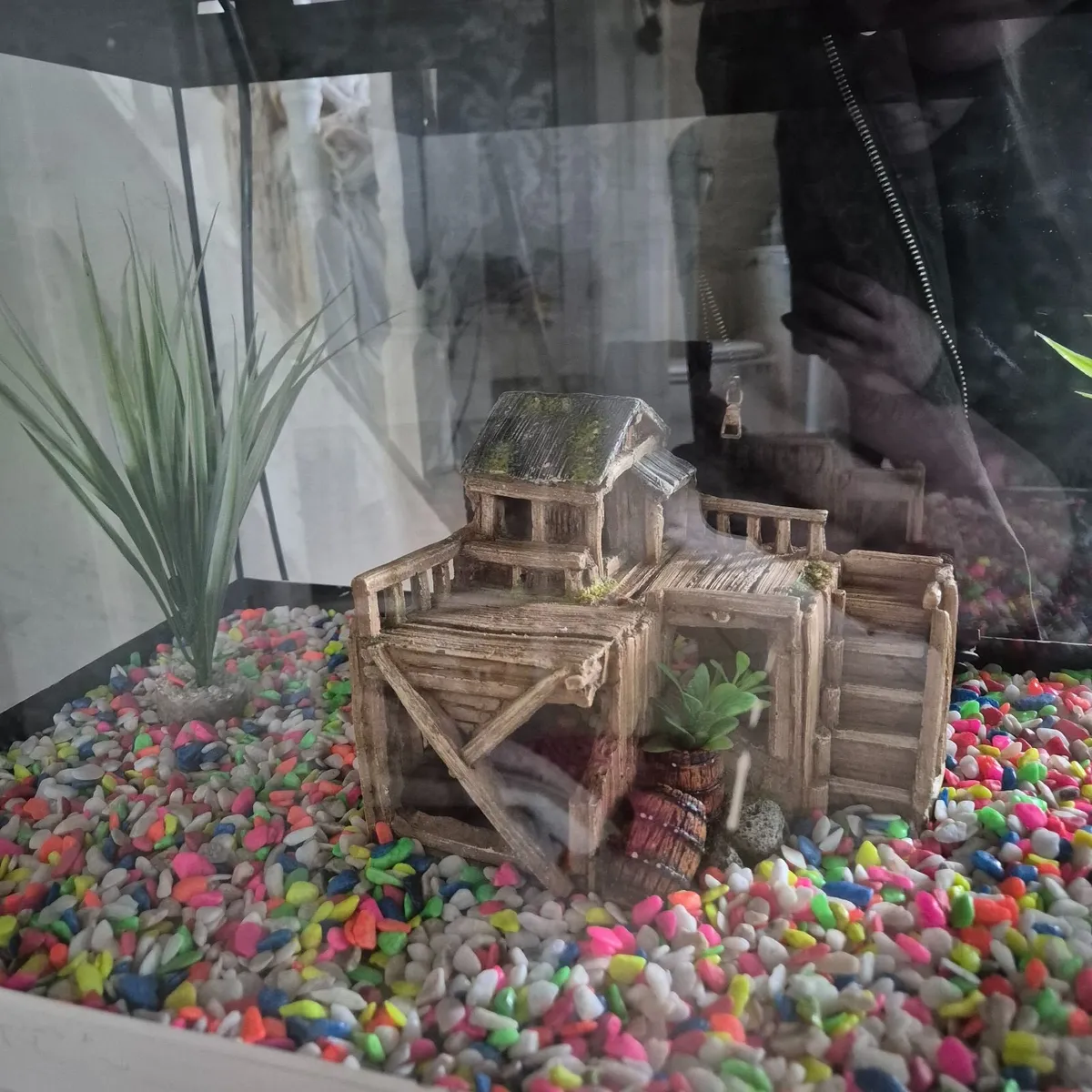 Aquarium and cabinet - Image 3