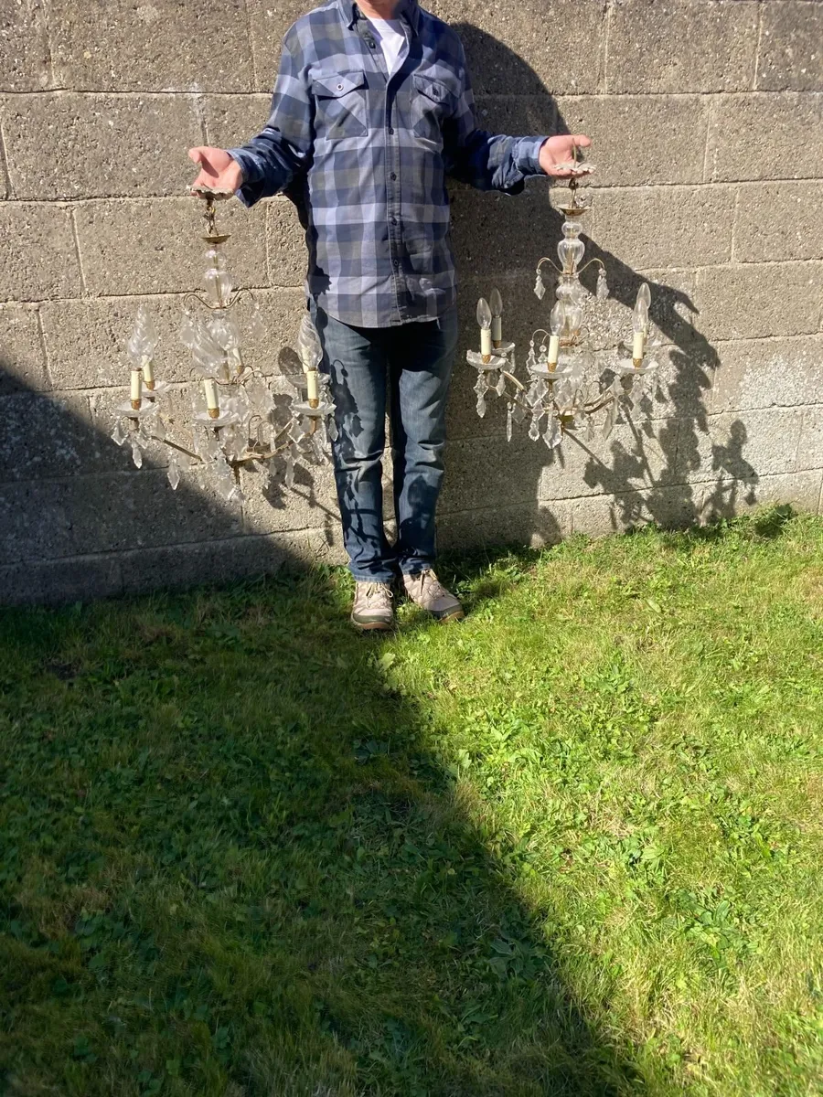 Vintage Chandeliers - Pair - Image 1